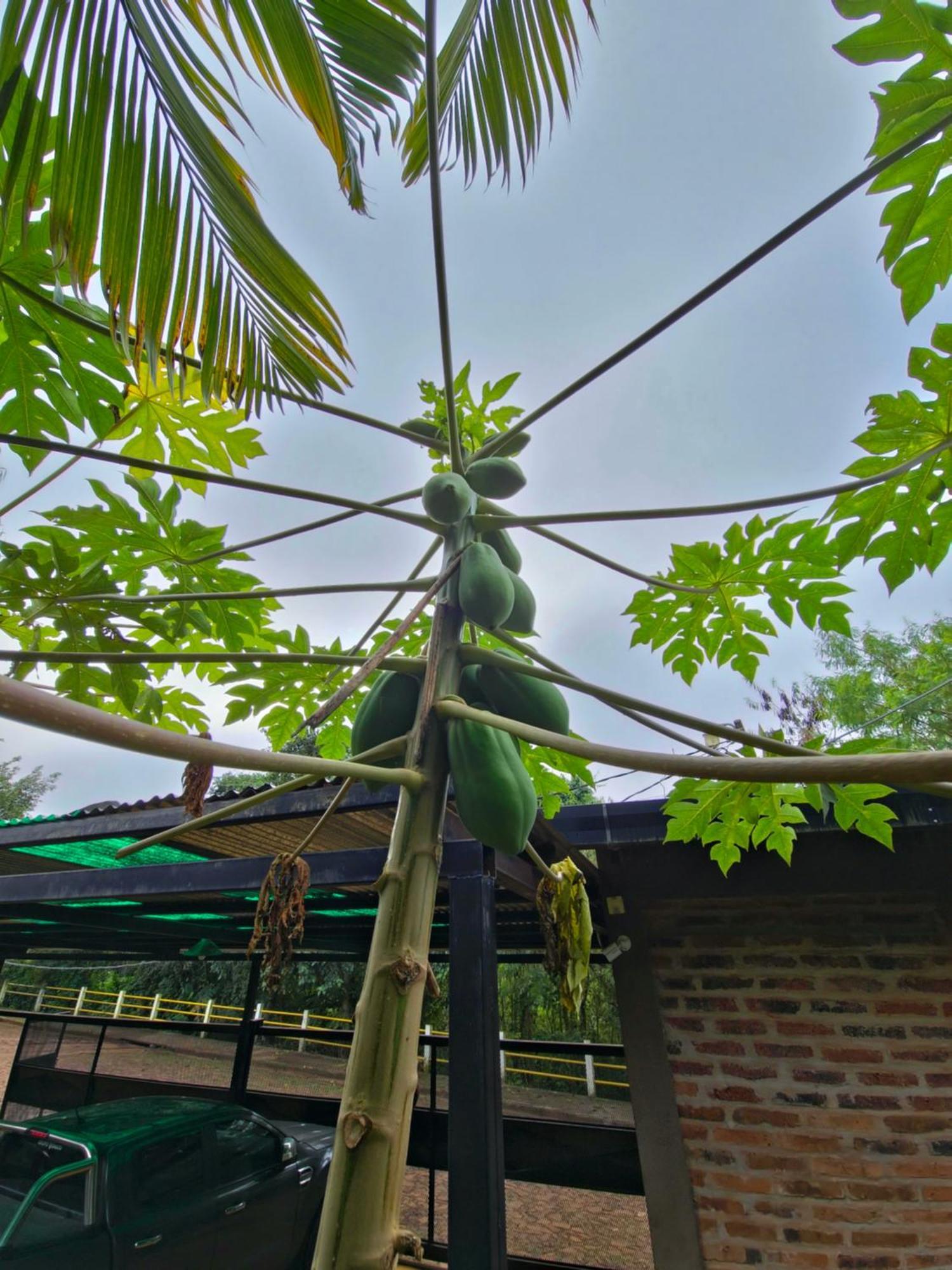 Terra Iguazu Cabanas Puerto Iguazu Luaran gambar